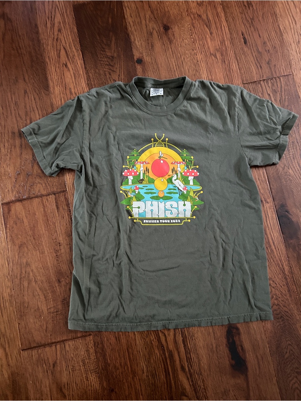 Phish Summer Tour 2024 Sage Green T-Shirt - Size Large